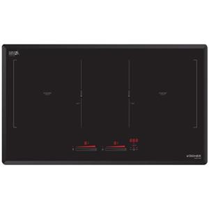 BẾP TỪ DIB4-888